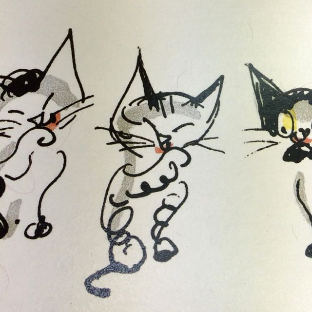 こねこのぴっち縫いぐるみの箱の絵の猫の画像