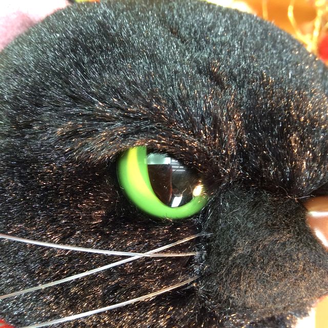 縫いぐるみの黒のスクラッチの顔のクローズアップ画像