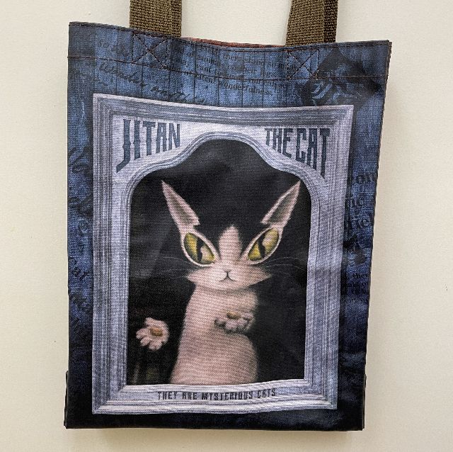 猫のダヤンのラミネートレッスンバッグ「肖像画」柄の背面側画像