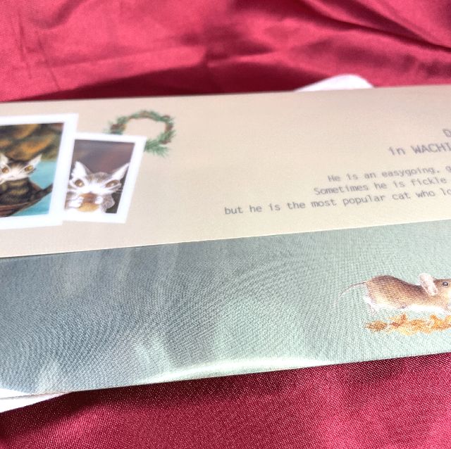 猫のダヤンの抗菌マスクケース「うずまき」柄の背面画像