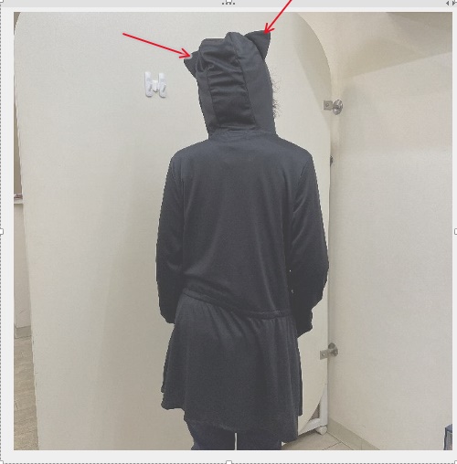 猫のダヤンのジップアップパーカー頬杖柄UV加工猫耳付きの猫画像