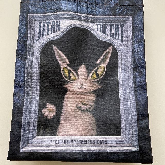 猫のダヤンのラミネートレッスンバッグ「肖像画」柄の背面側の絵柄のクローズアップ画像