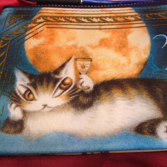 猫のダヤンのラミネートペンポーチ「月に乾杯」柄のオモテ側のクローズアップ画像