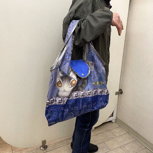 猫のダヤンのアートエコバッグ・アンダルシア柄を腕に掛けた画像