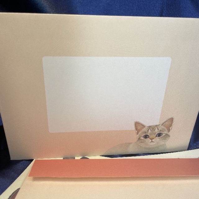 フェリシモ猫部のレターセットの封筒のオモテ画像