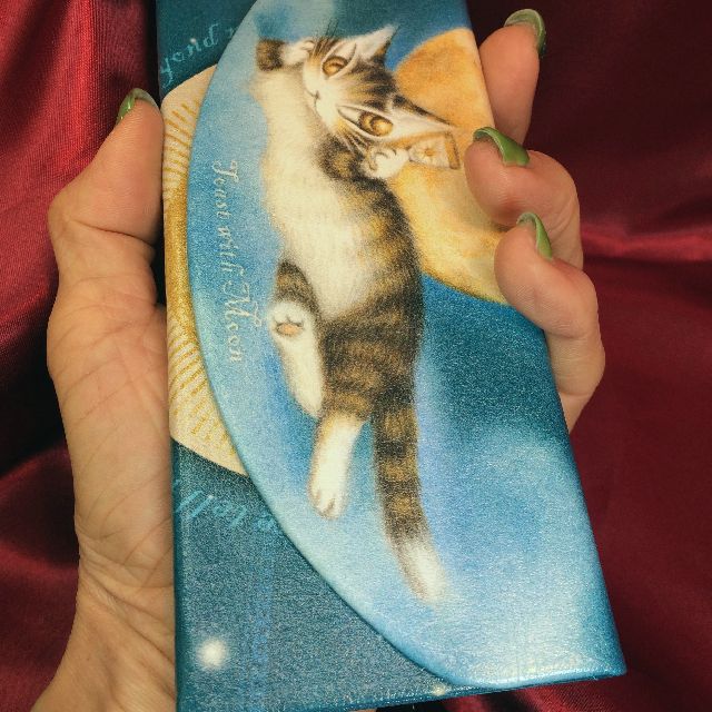猫のダヤンの折りたたみメガネケース月に乾杯柄を横に持った画像