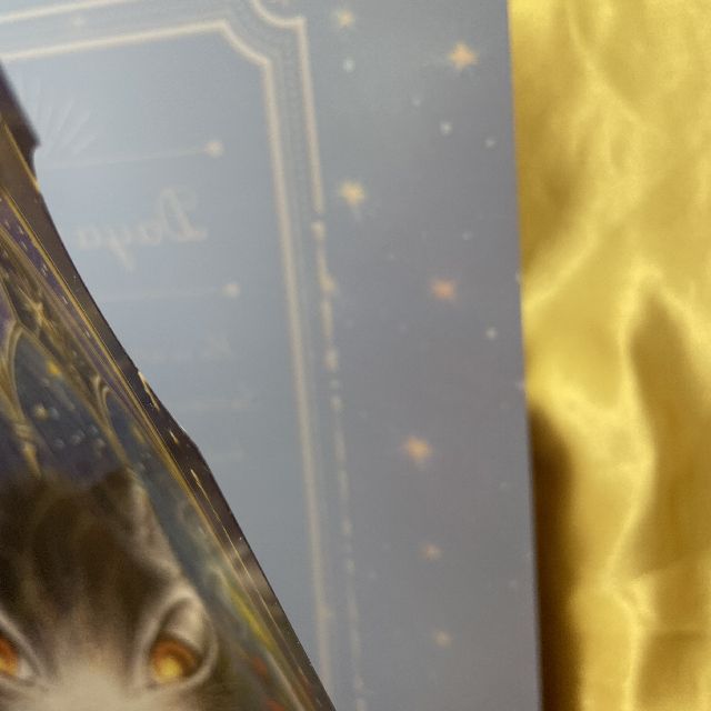 猫のダヤンのA4サイズクリアファイル・ラップランド柄の内側の画像