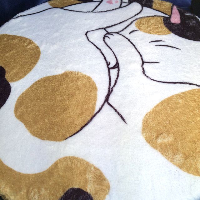 大西賢の丸いシートクッション三毛猫の表面の画像