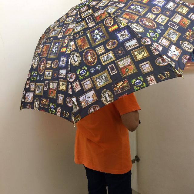 ダヤンの長傘エスパーニャをさした画像