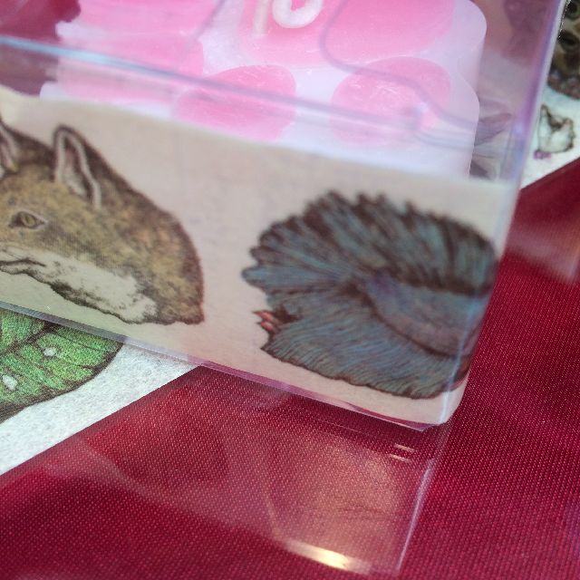 ヒグチユウコさんのマスキングテープを箱に貼った画像