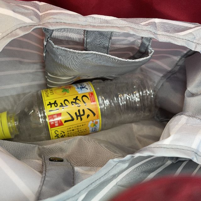 大西賢のコンビニエコバッグチャトラ猫柄グレー色にペットボトルを入れた画像
