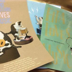 【メール便】不思議な顔をした猫まこちゃんのでっかいポストカード