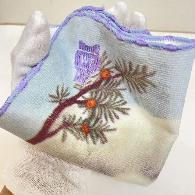 猫のダヤンの刺繡ミニタオルハンカチ・不思議な国の境目柄を手に持った画像