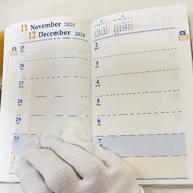 猫のダヤンのWFスケジュール2025年ゴンドラ柄の絵柄の内側の画像