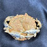 【送料無料・パルナートポック】ブローチ・「土星上の夢」柄・茶トラ猫ボス