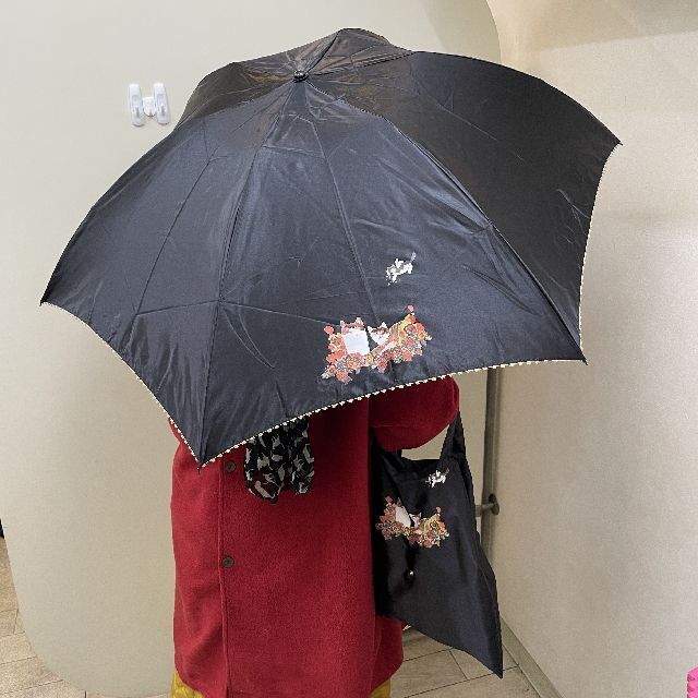 折りたたみ傘の全体