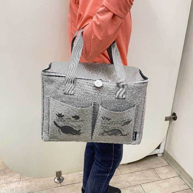 ダヤンのピクニックバッグD&C柄を腕に掛けた画像