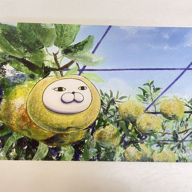 ひこ屋の2026年卓上カレンダーシュール柄の8月の裏側画像