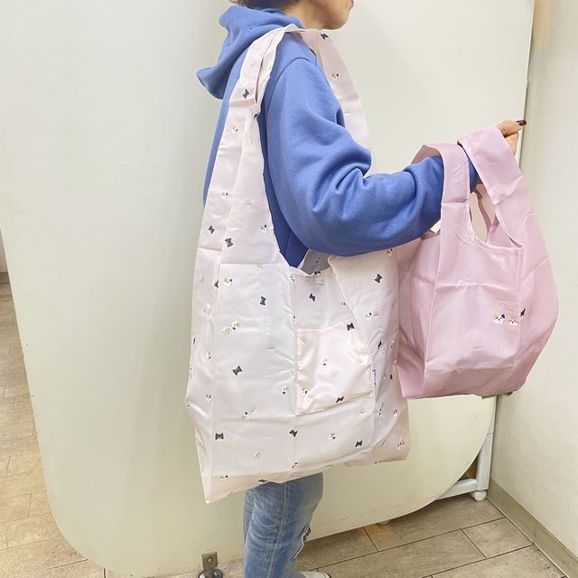 LABCLIPの大小2枚組エコバッグを肩に掛けた画像