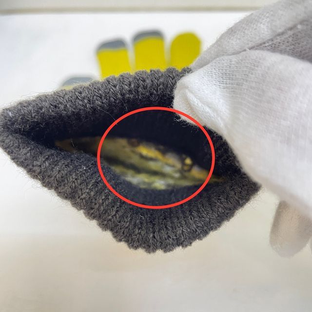 猫のダヤンのジャガード手袋メヒコ柄の手の内側の画像