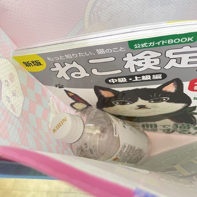 バッグの内側