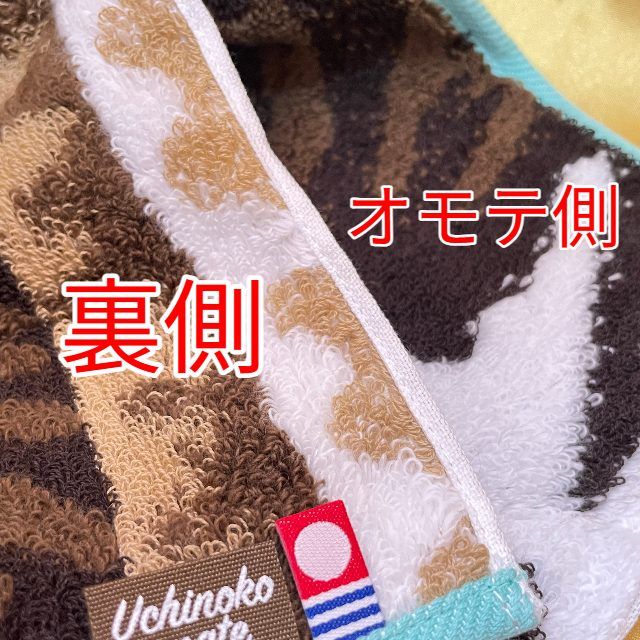 裏側